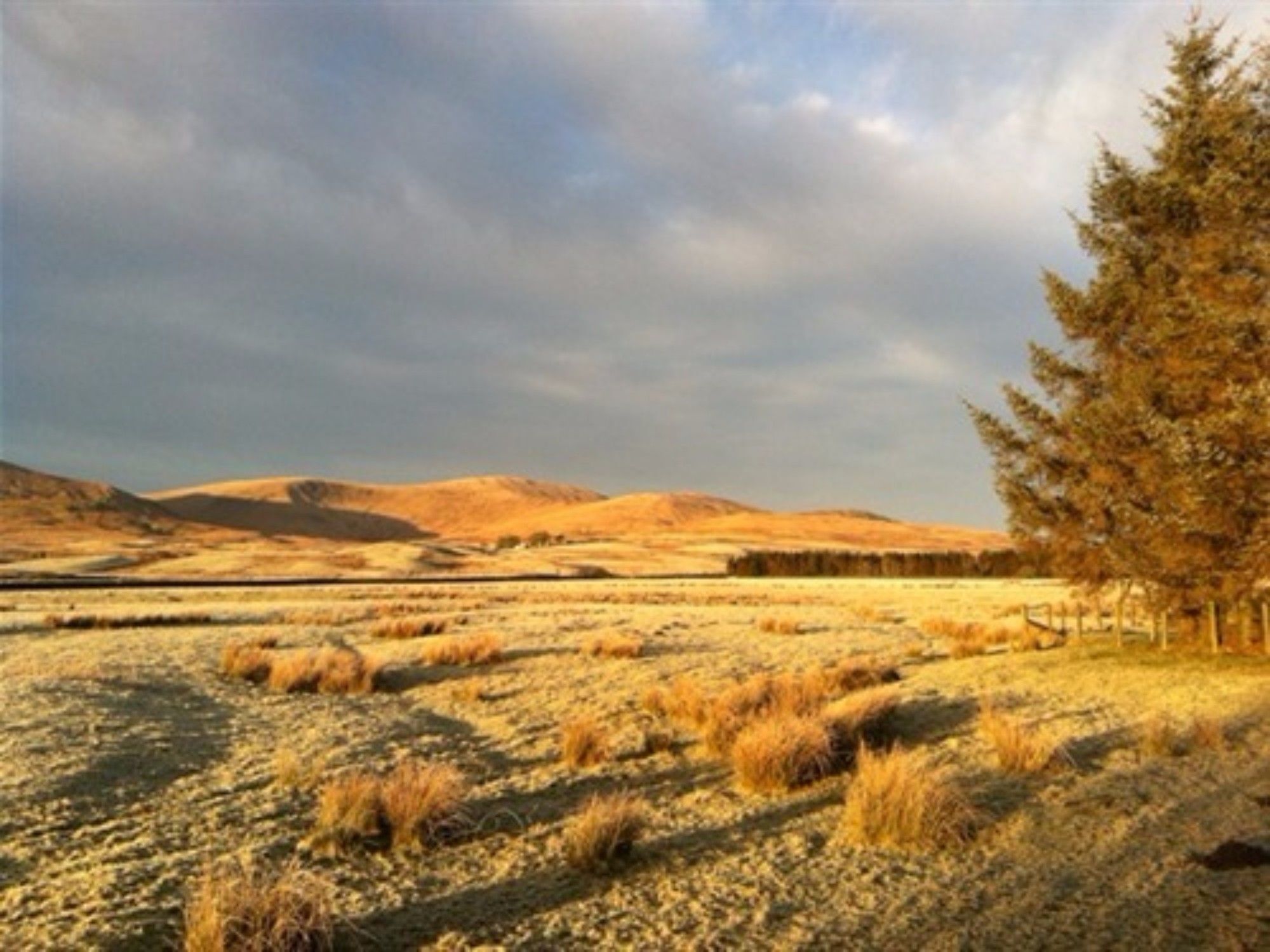 The Knowe B&B Carsphairn Bagian luar foto